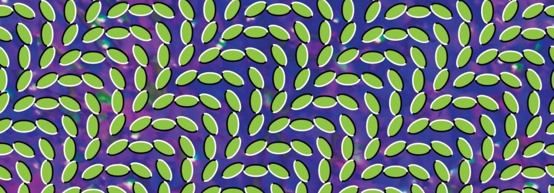 Animal Collective • Merriweather Post Pavilion
