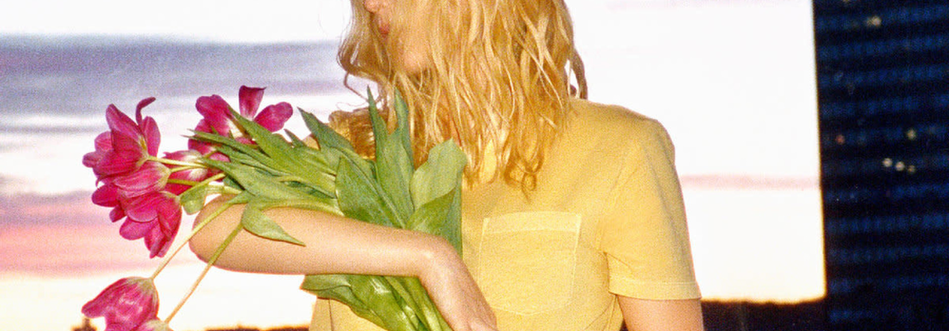 Evelyne Brochu • Objets perdus
