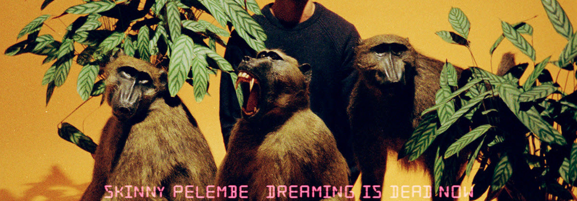 Skinny Pelembre • Dreaming Is Dead Now