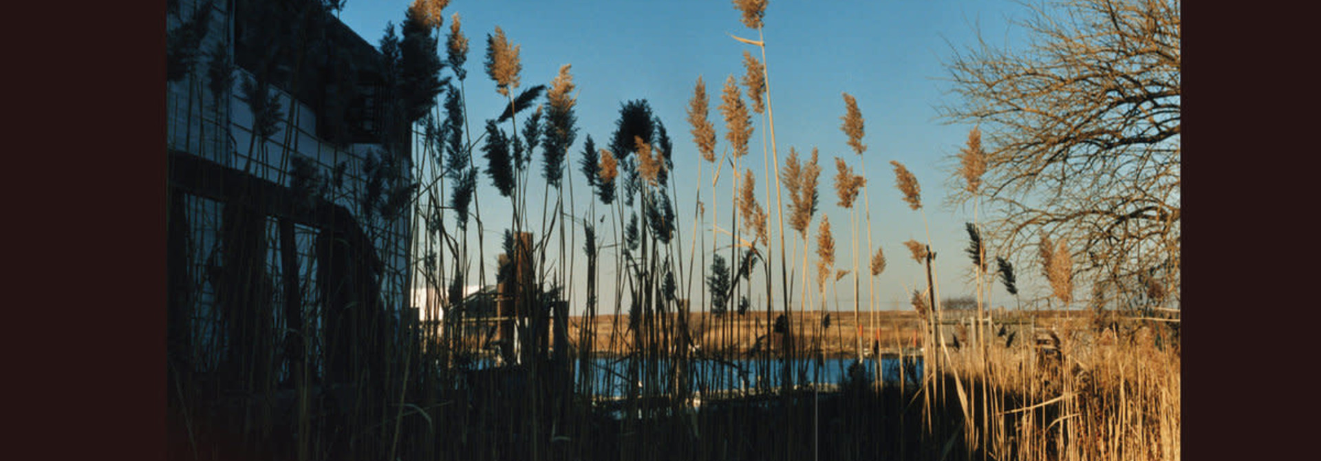 The Cinematic Orchestra • Ma Fleur