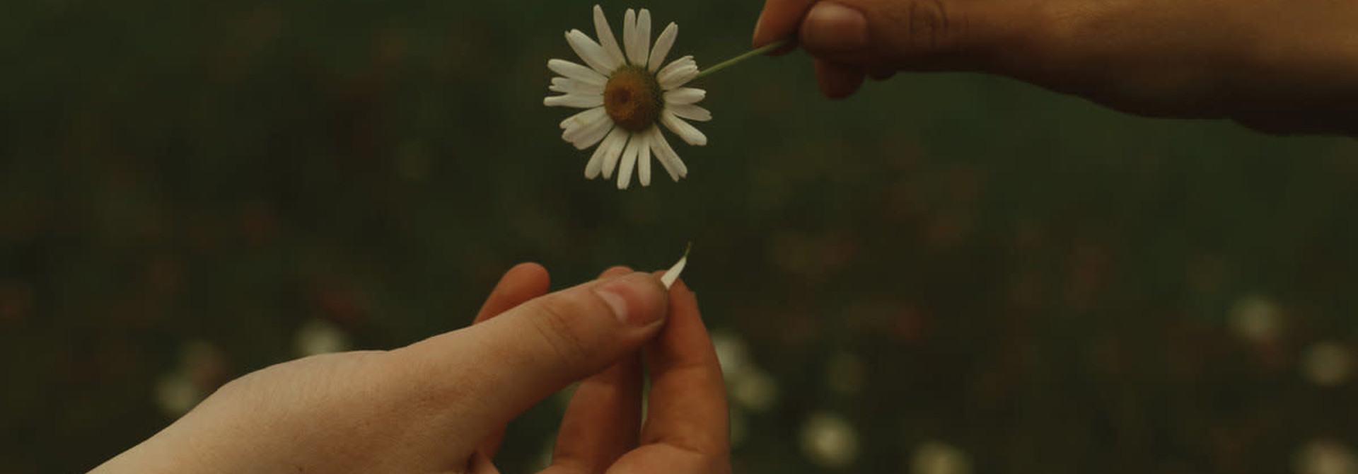 Goldmund • The Time It Takes (Édition couleur limitée)