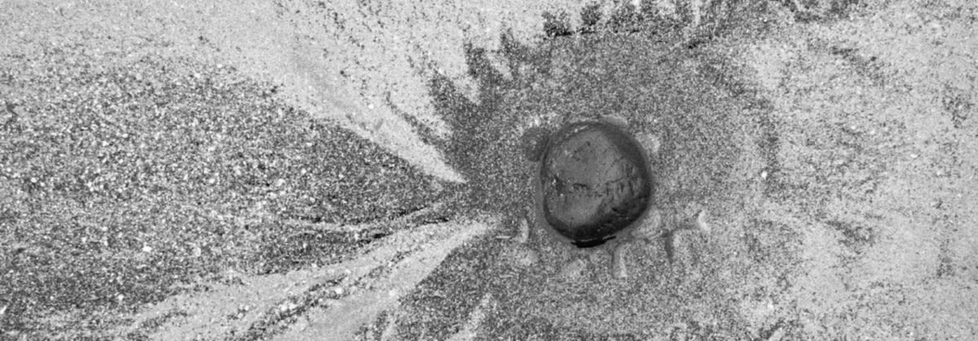 Four Tet • New Energy