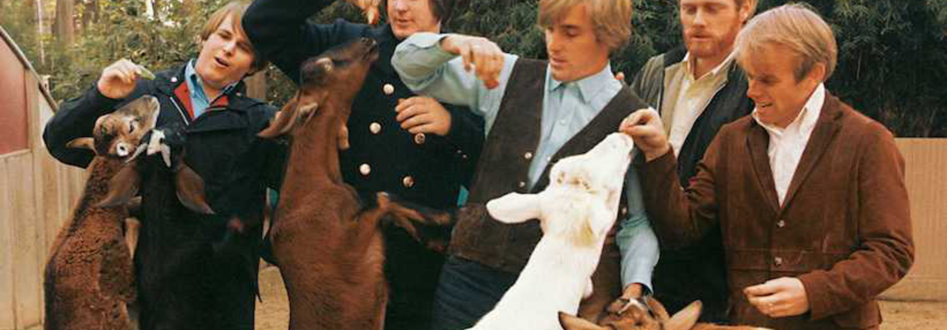 Beach Boys • Pet Sounds (180g, stereo)