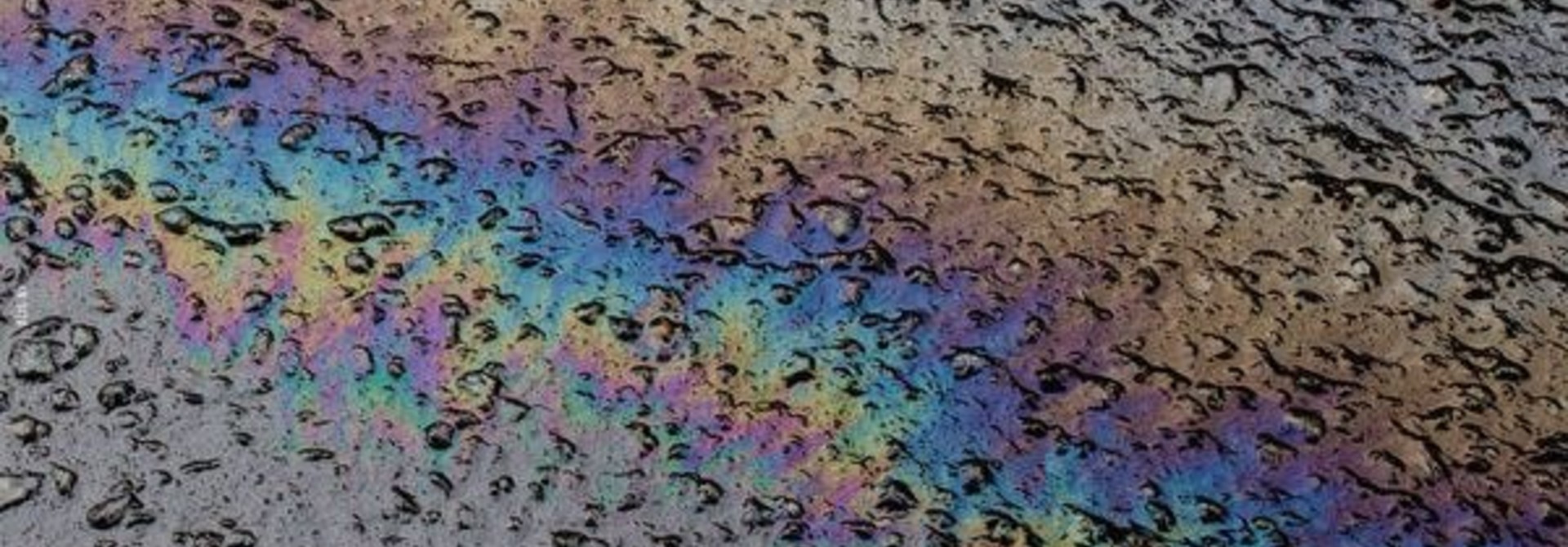 Laurel Halo • In Situ (2x12'')
