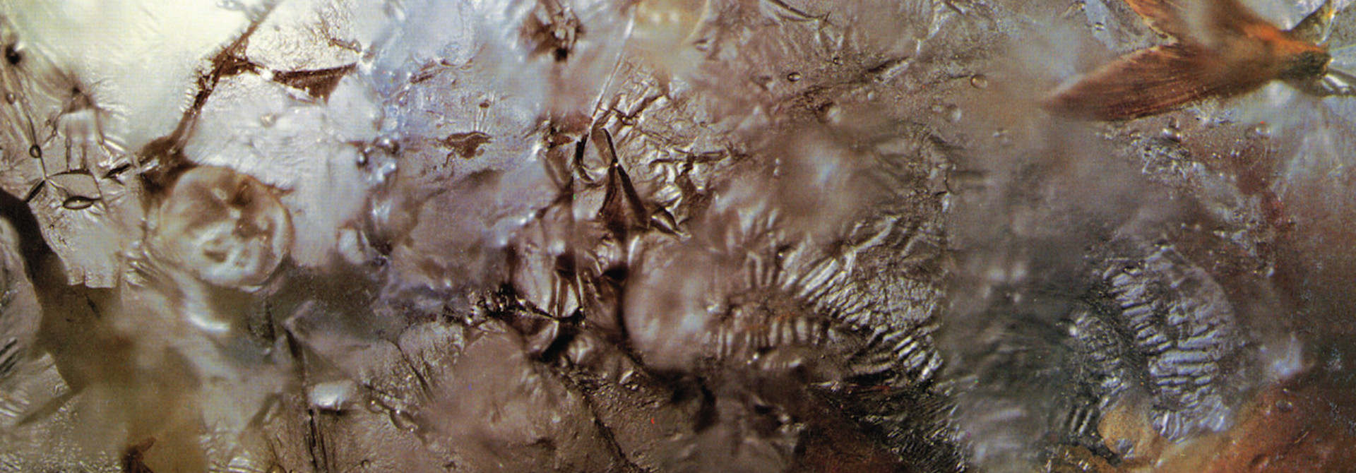 Cocteau Twins • Head Over Heels (version rematricée)