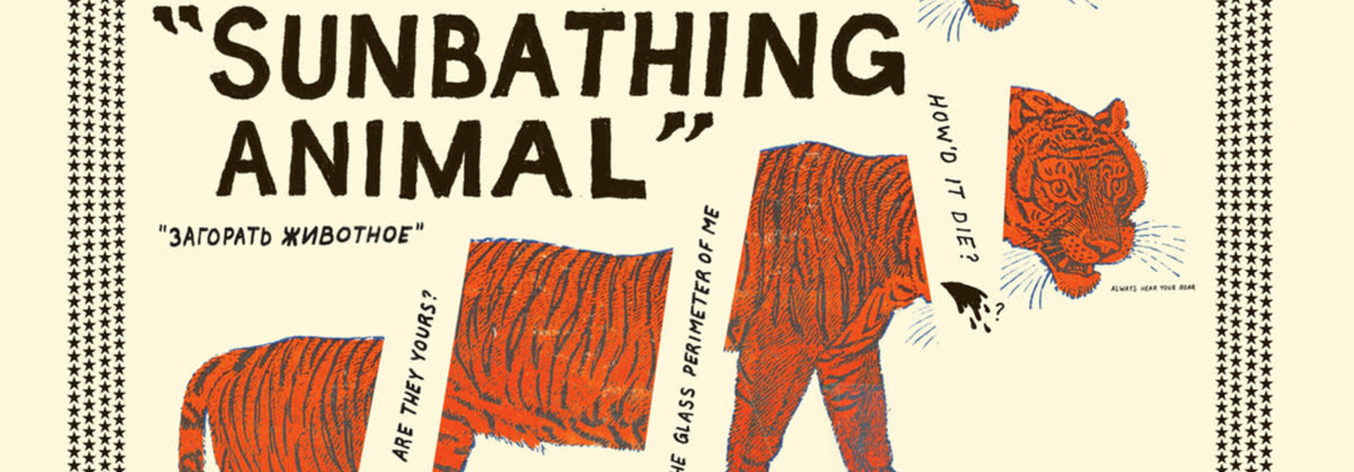 Parquet Courts • Sunbathing Animal (édition couleur)