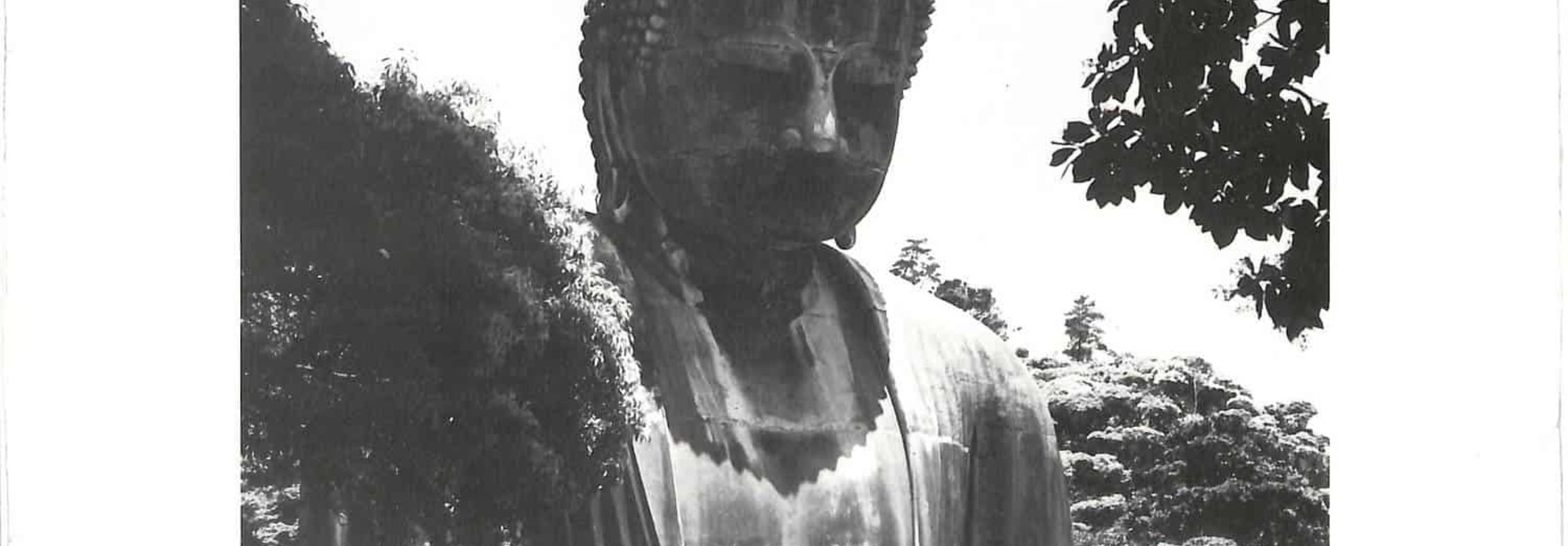 Victor Cavini • Japan