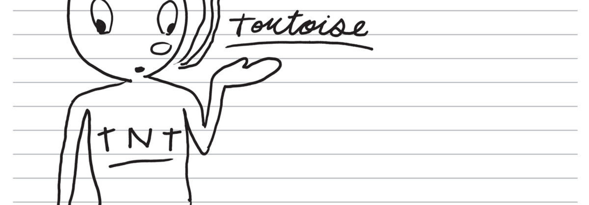 Tortoise • TNT (réédition 2LP)