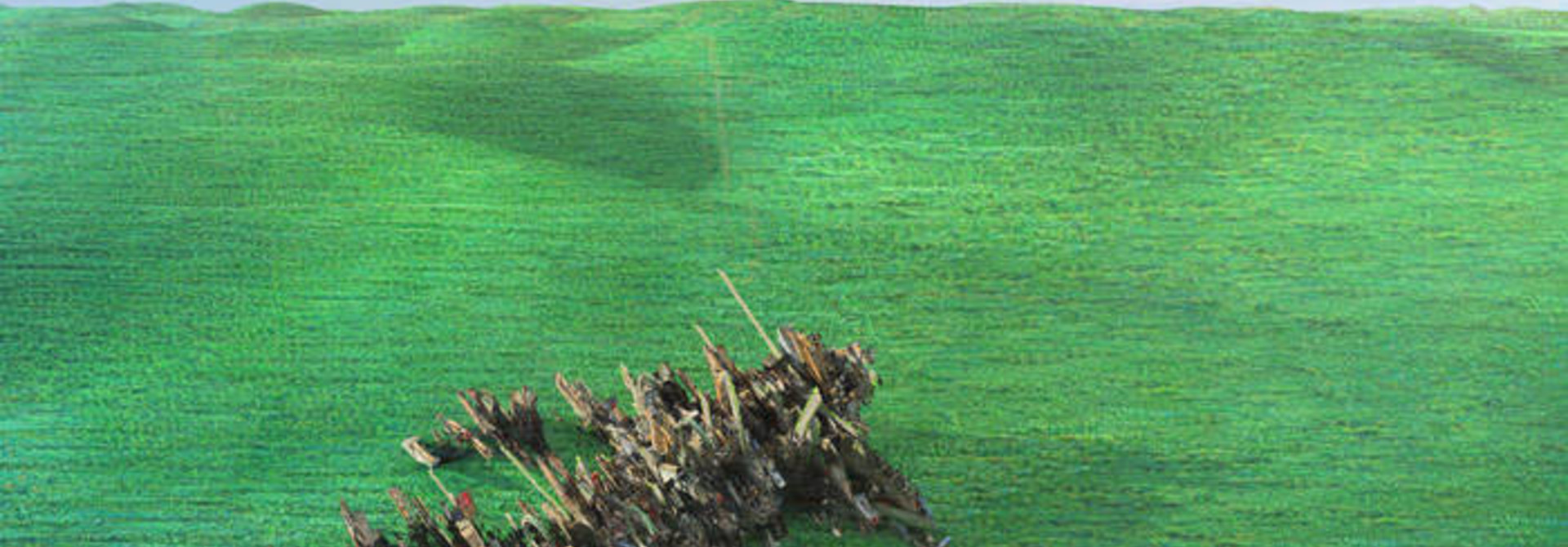 Squid • Bright Green field (2LP)