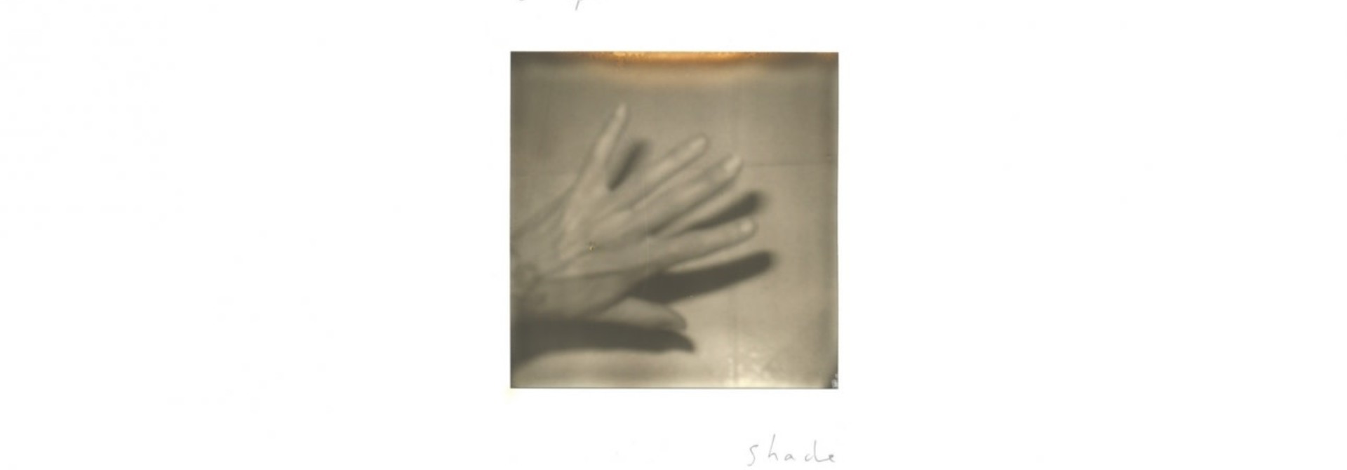 Grouper • Shade