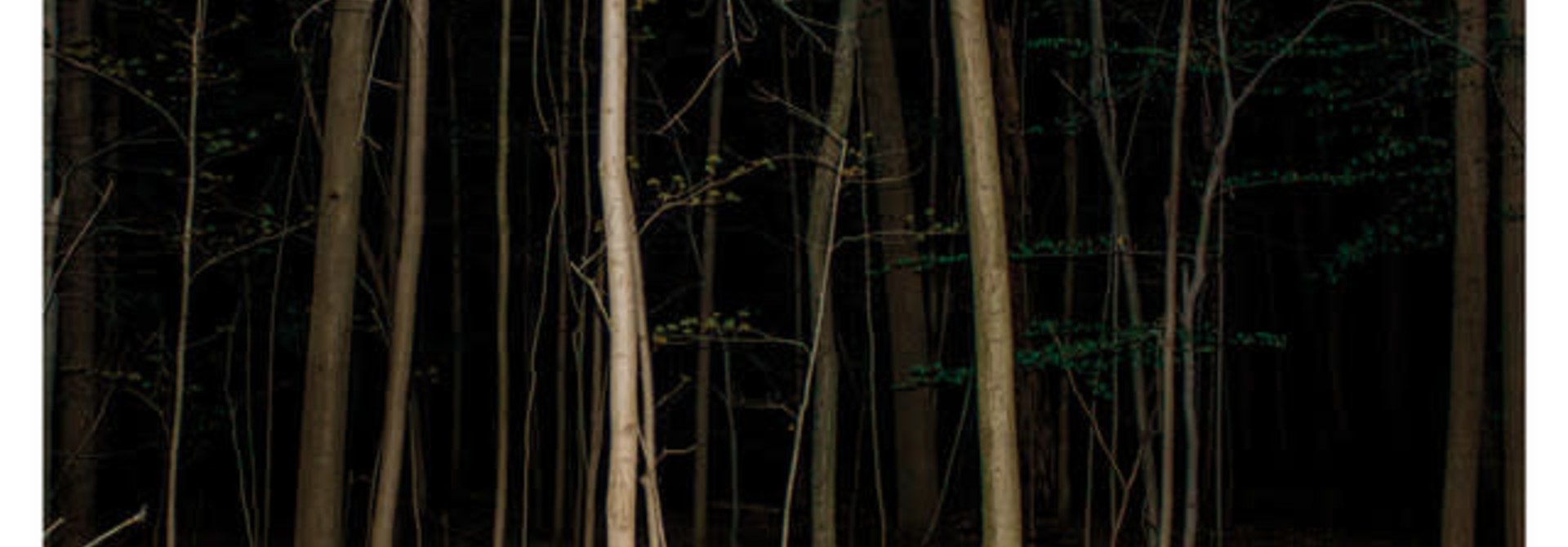 Express Rising • Fixed Rope II