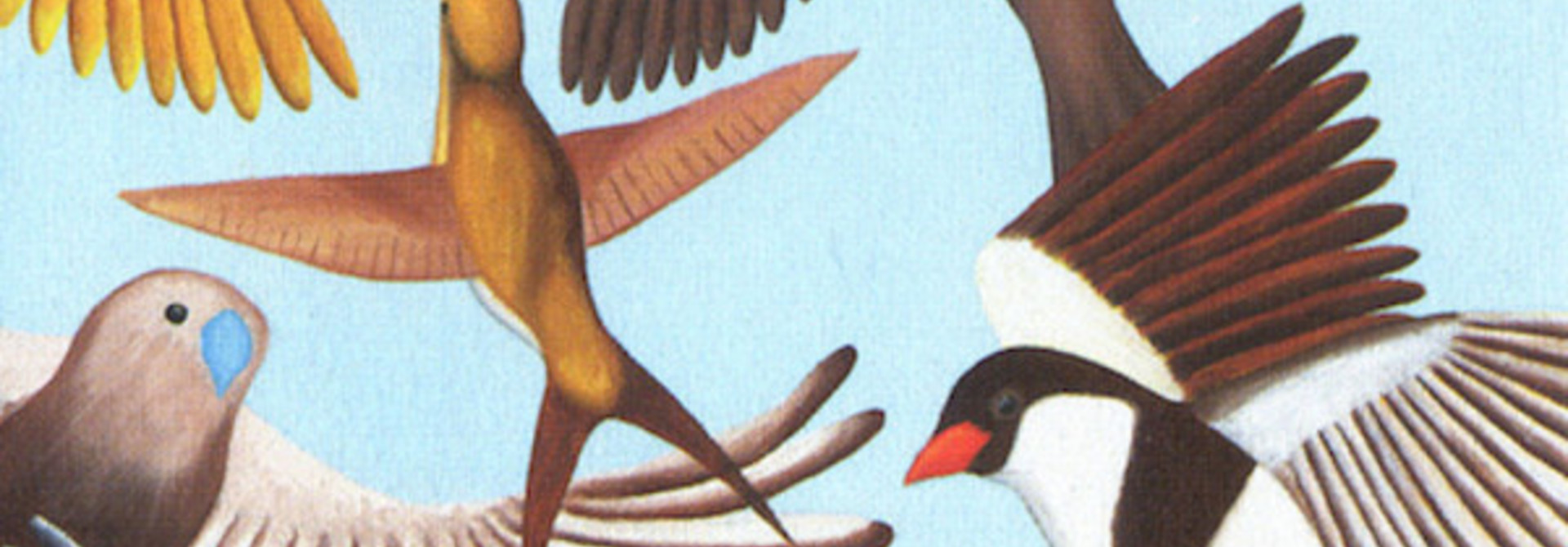 Brokeback • Looks at the Bird