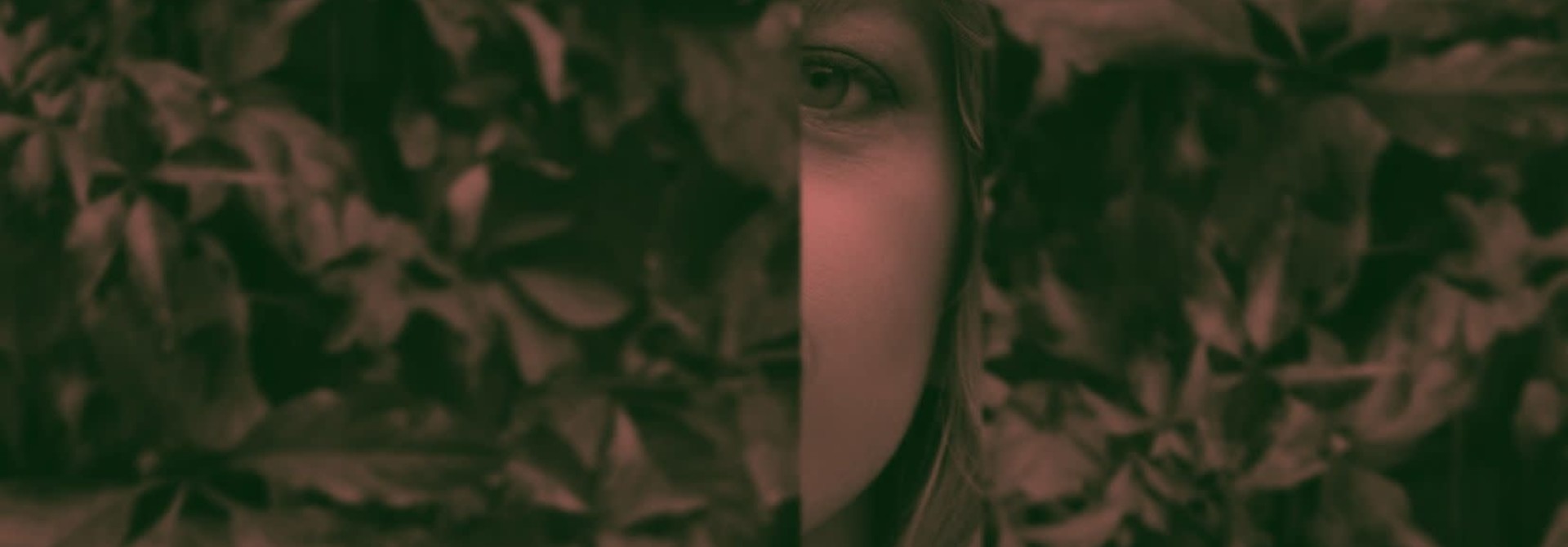 Basia Bulat • The Garden