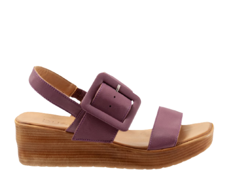 Bueno Marcia Buckled Sandal - Women's