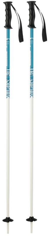 Elan HotRod Ski Poles - Junior