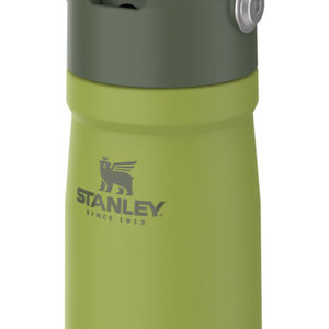 Stanley Stanley Iceflow Flip Straw 17 OZ Water Bottle 10-09991-014