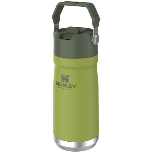 Stanley Stanley Iceflow Flip Straw 17 OZ Water Bottle 10-09991-014 Stanley Stanley Iceflow Flip Straw 17 OZ Water Bottle 10-09991-014