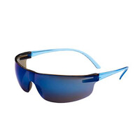 Uvex Indoor/Outdoor Anti-Fog Safety Glasses Blue Frames SVP207