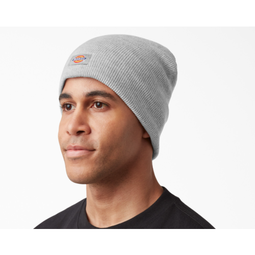 Dickies Dickies Knit Insulated Beanie - O/S WH202BD