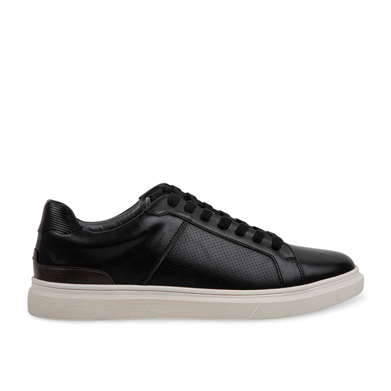 POSSESS Black Men's Sneakers | Men's Designer Sneakers – Steve Madden Canada