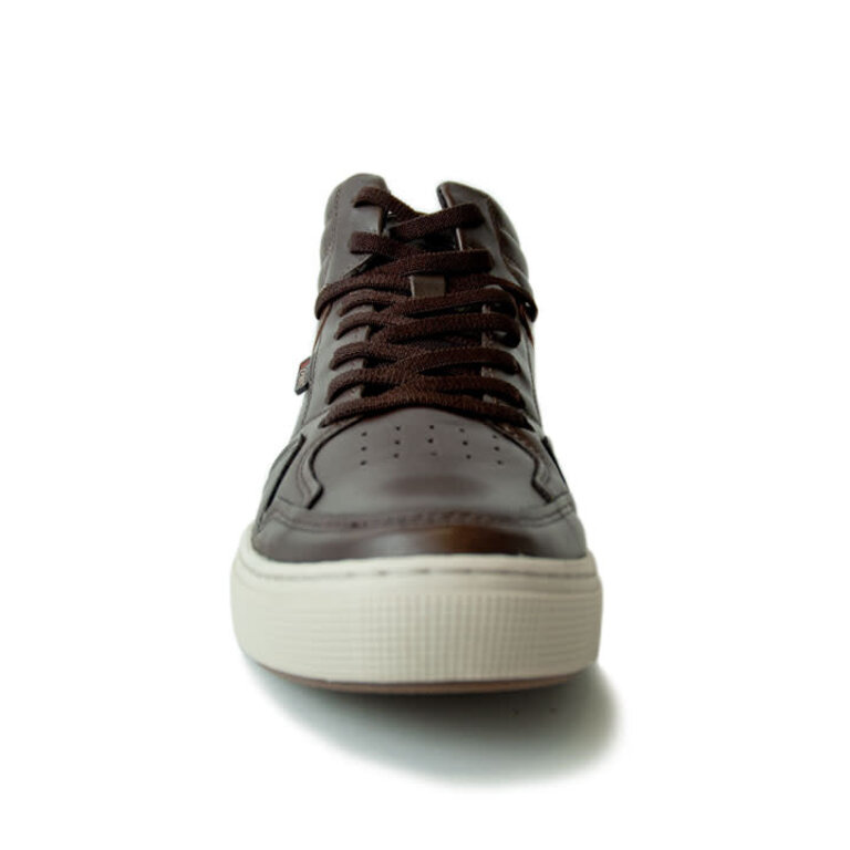 Pegada - Hawkman - Dark Brown - BLVD Shoes