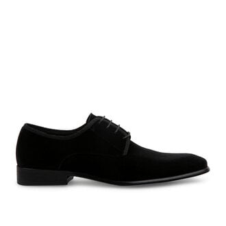 Steve madden black suede on sale sneakers