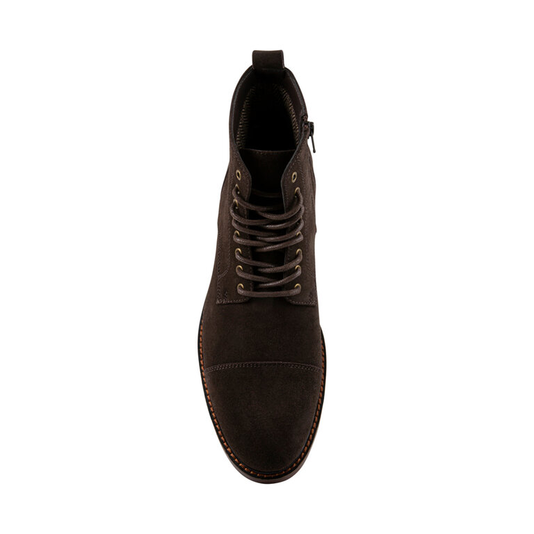 Steve Madden Steve Madden - Harryy