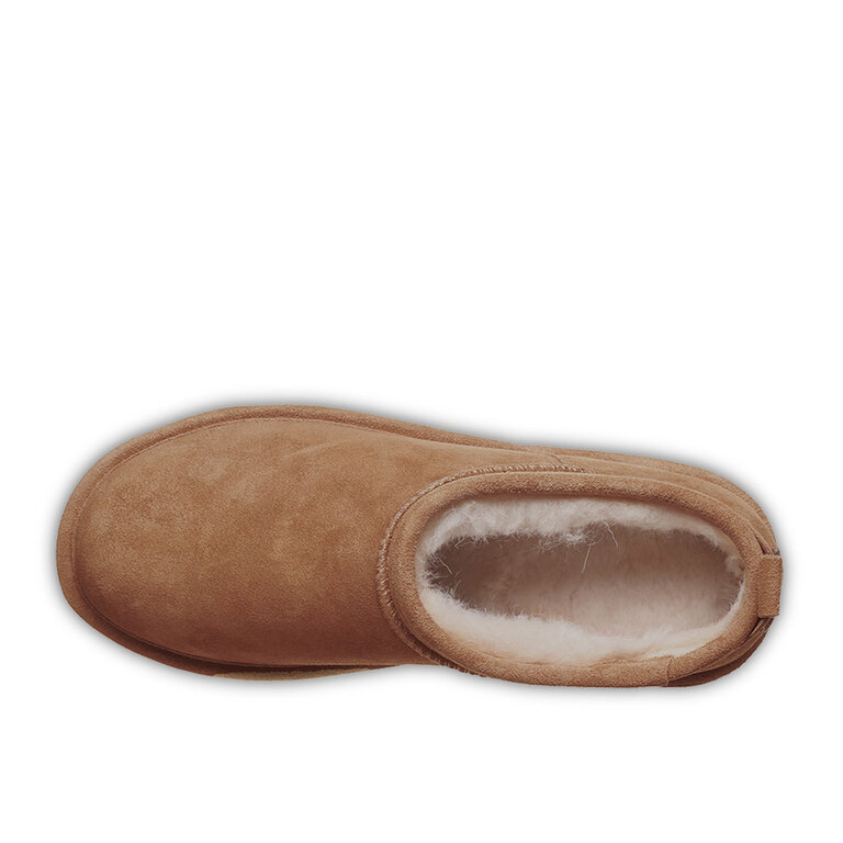 BearPaw Bearpaw Retro Super Shorty Hickory