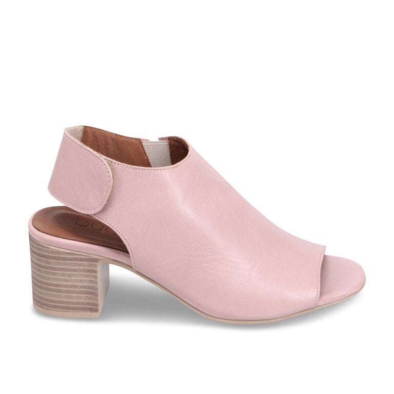 Bueno Bueno - Rachel