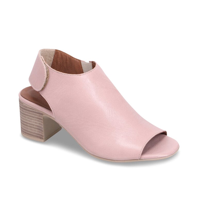 Bueno Bueno - Rachel