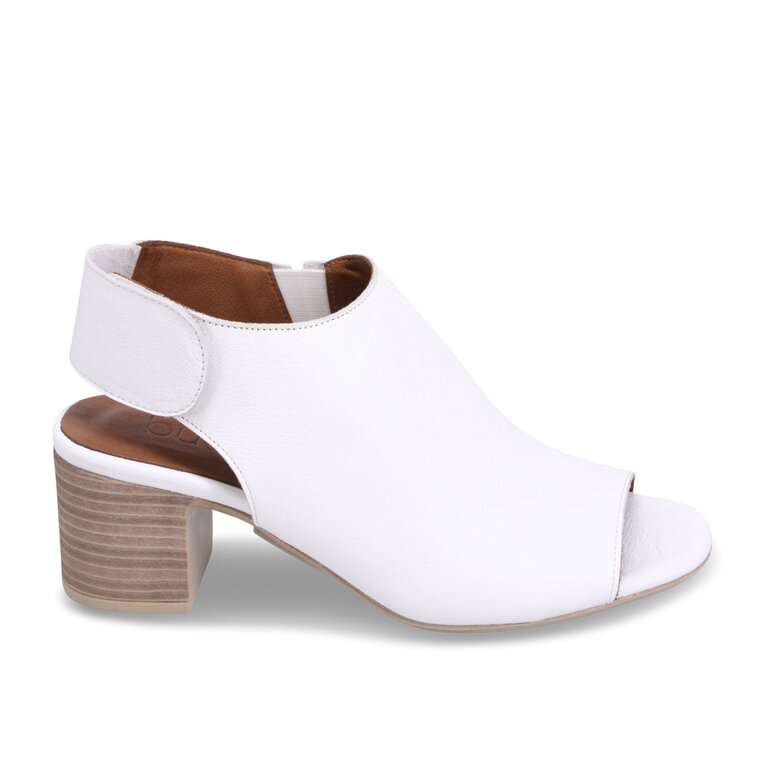 Bueno Bueno - Rachel