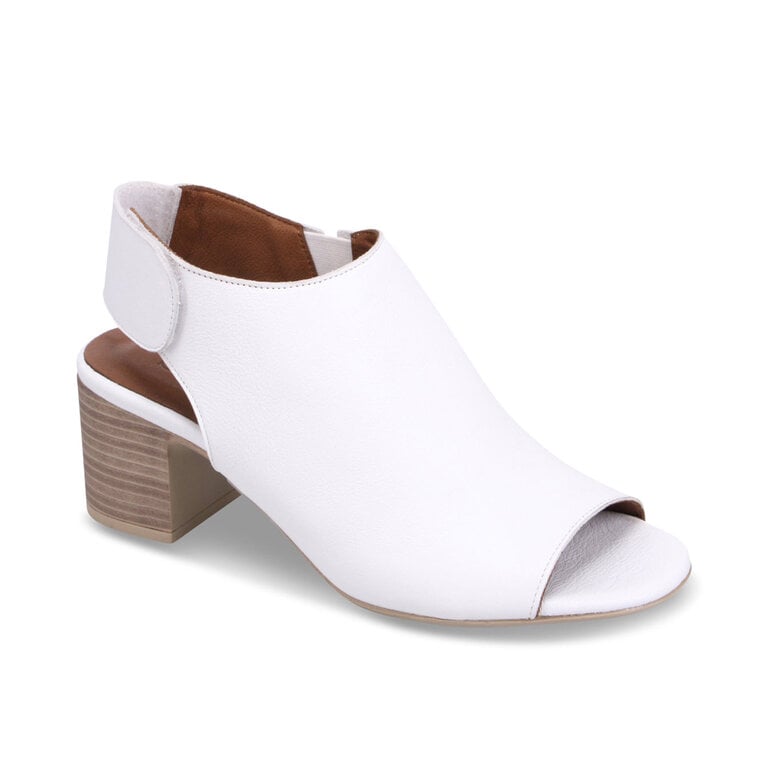 Bueno Bueno - Rachel