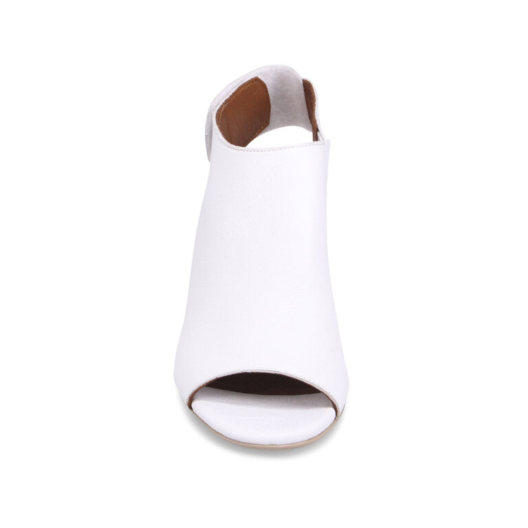 Bueno Bueno - Rachel