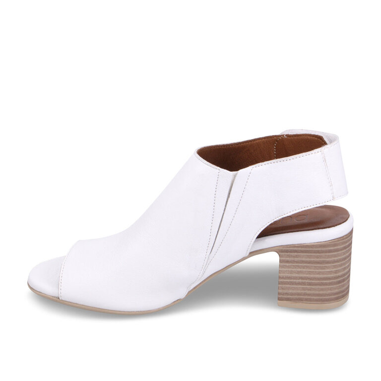 Bueno Bueno - Rachel