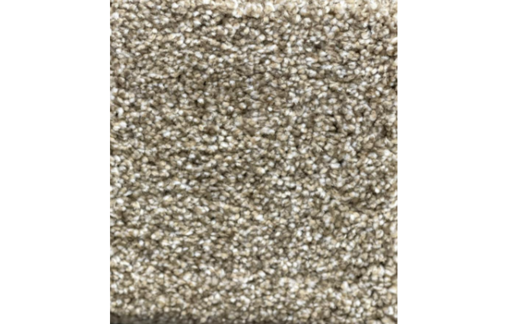 REFRESHING SHADES (859)