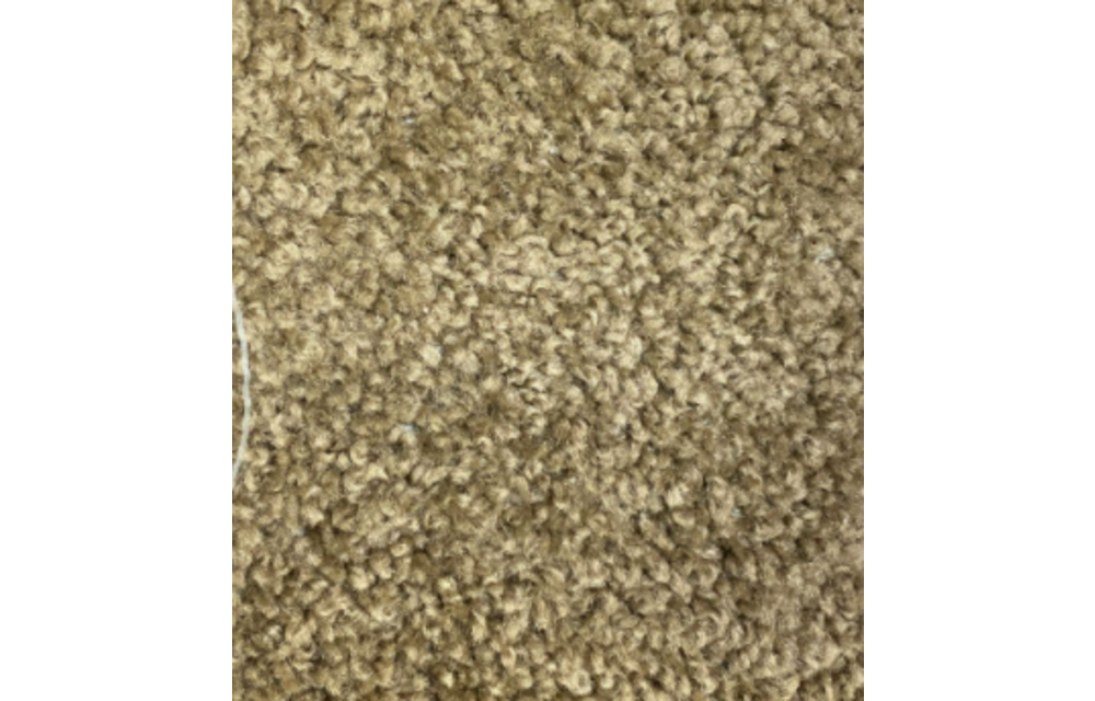 SP025 (888)