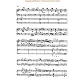 Schirmer Beethoven - Concerto No. 2 in Bb, Op. 19 (NFMC)