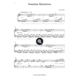 Hal Leonard The Sonatina Collection - Intermediate to Advanced