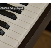 Casio Casio Celviano AP-S200 Rosewood