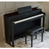 Casio Casio Celviano AP-300 Black