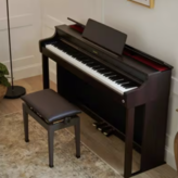 Casio Casio Celviano AP-300 Rosewood