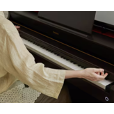 Casio Casio Celviano AP-300 Rosewood