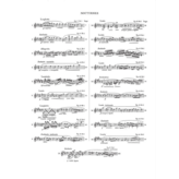 Hal Leonard Chopin - Nocturnes (Complete Works, Volume VII (ed. Pederewski)