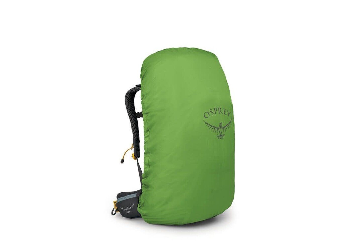 OSPREY Sirrus 36 Succulent Green O/S