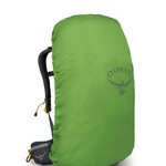 OSPREY Sirrus 36 Succulent Green O/S