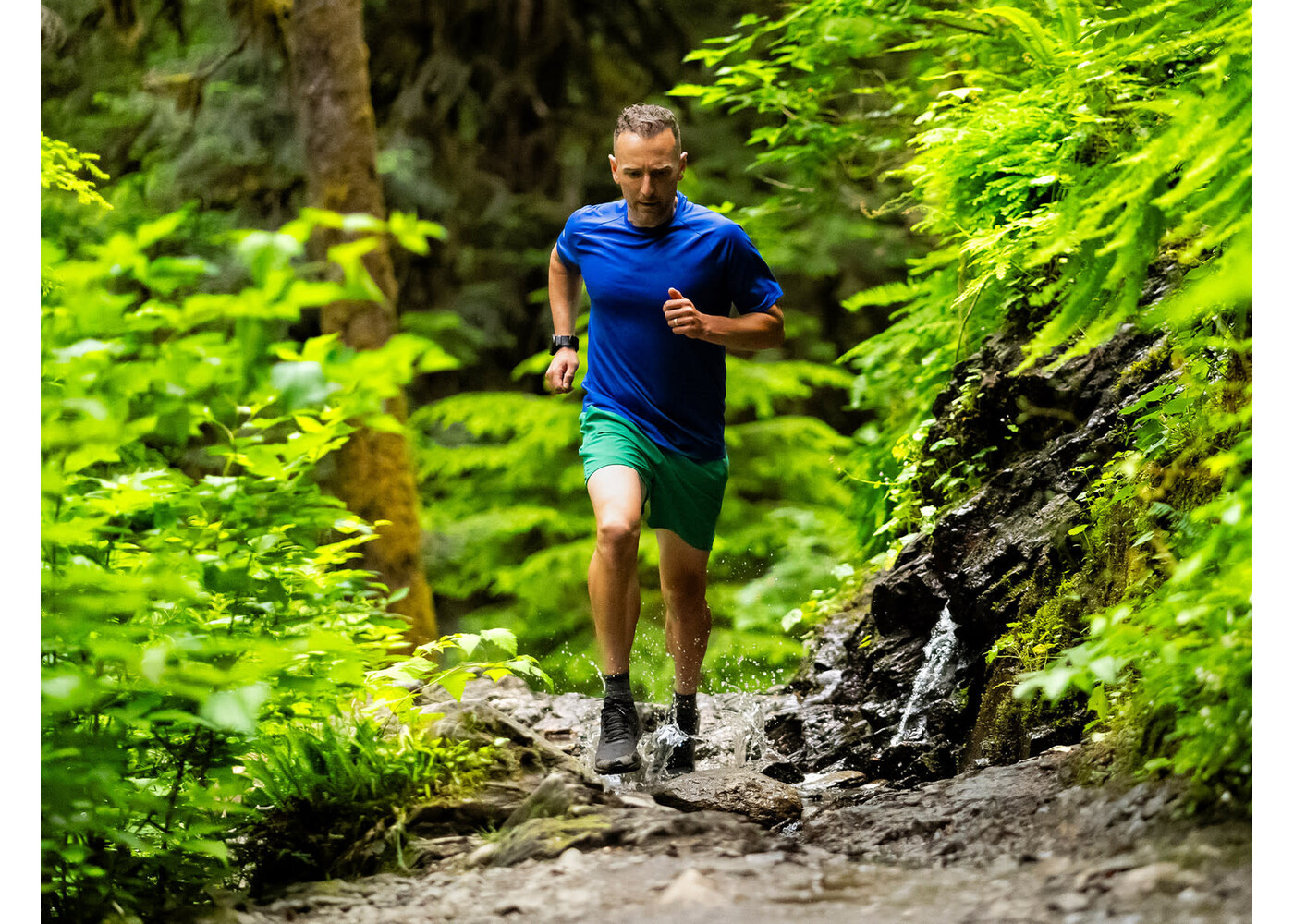 TOPO TERRAVENTURE 4 WP