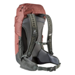 DEUTER AC LITE 24.     REDWOOD/IVY