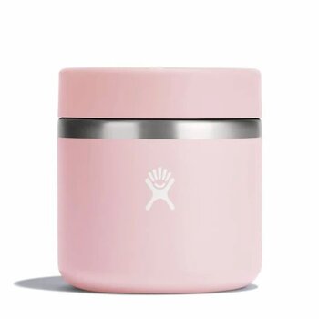 Hydroflask 20 OZ INSULATED FOOD JAR TRILLIUM