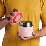 Hydroflask 20 OZ INSULATED FOOD JAR TRILLIUM