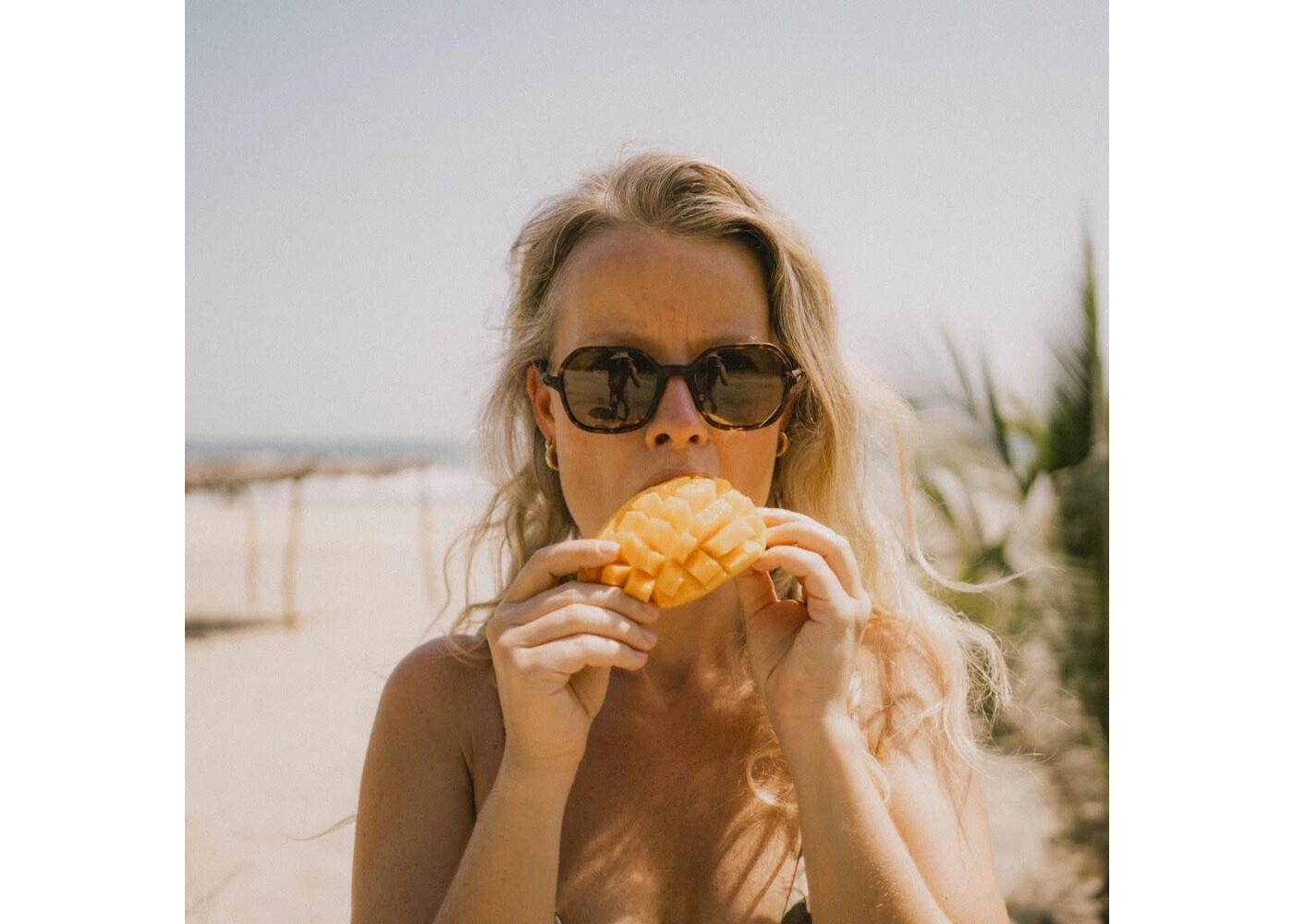 Ombraz Cammina / Tortoise / Polarized Grey Regula